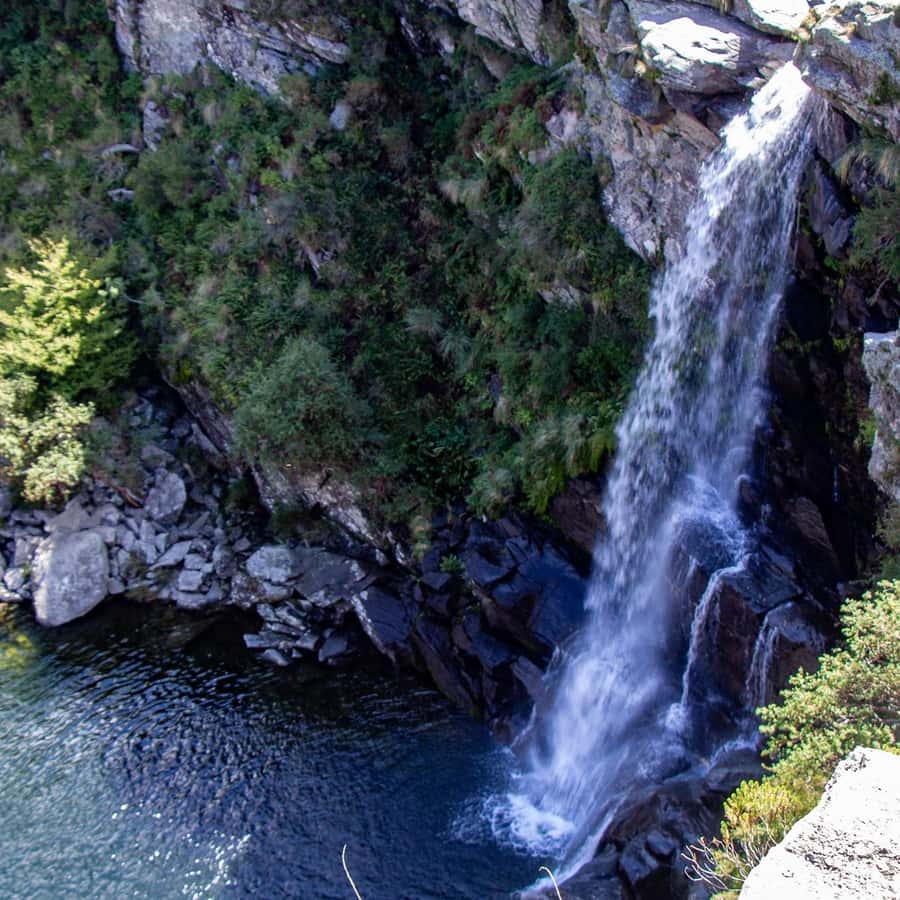 image not described image