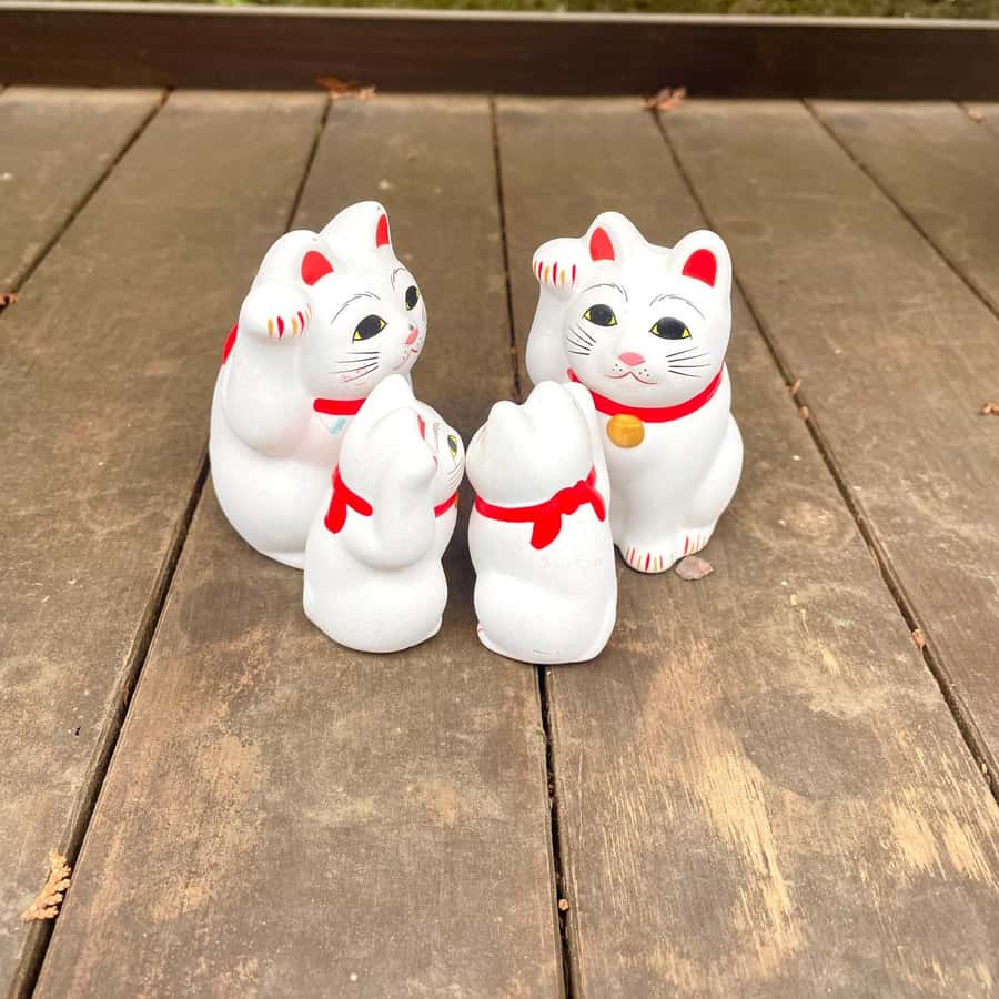 Tokio: Kočičí chrám Gotokuji, kočičí kavárna v Šindžuku a