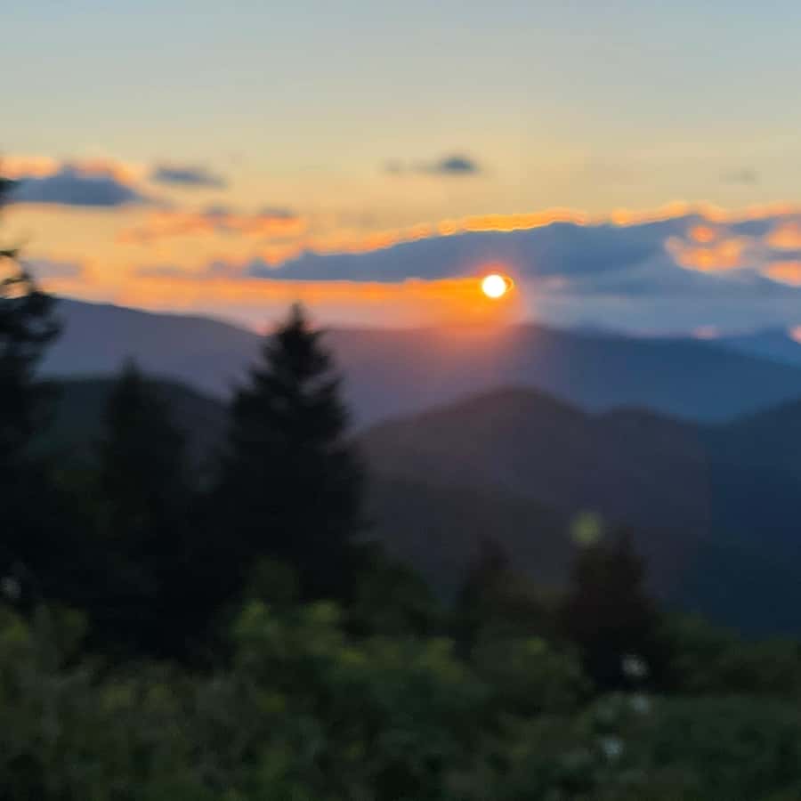 Blue Ridge hiking tour with areas #1 Guide (1/2 day) GetYourGuide