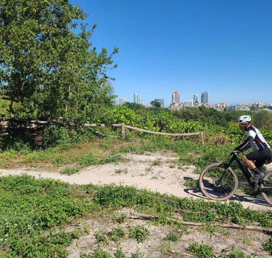 Miami: Mountain Bike Rental on Virginia Key Trails GetYourGuide