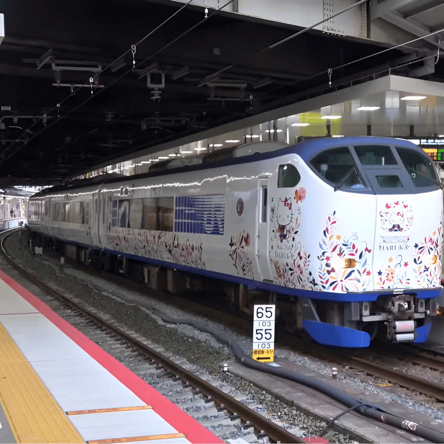 Enosmerna vozovnica Kansai-Airport Express HARUKA | GetYourGuide