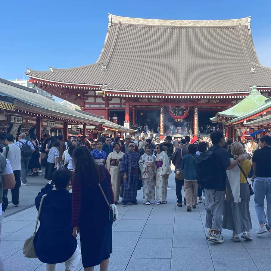 Awesome Private Tour: Tsukiji, Asakusa, Shinjuku, Shibuya