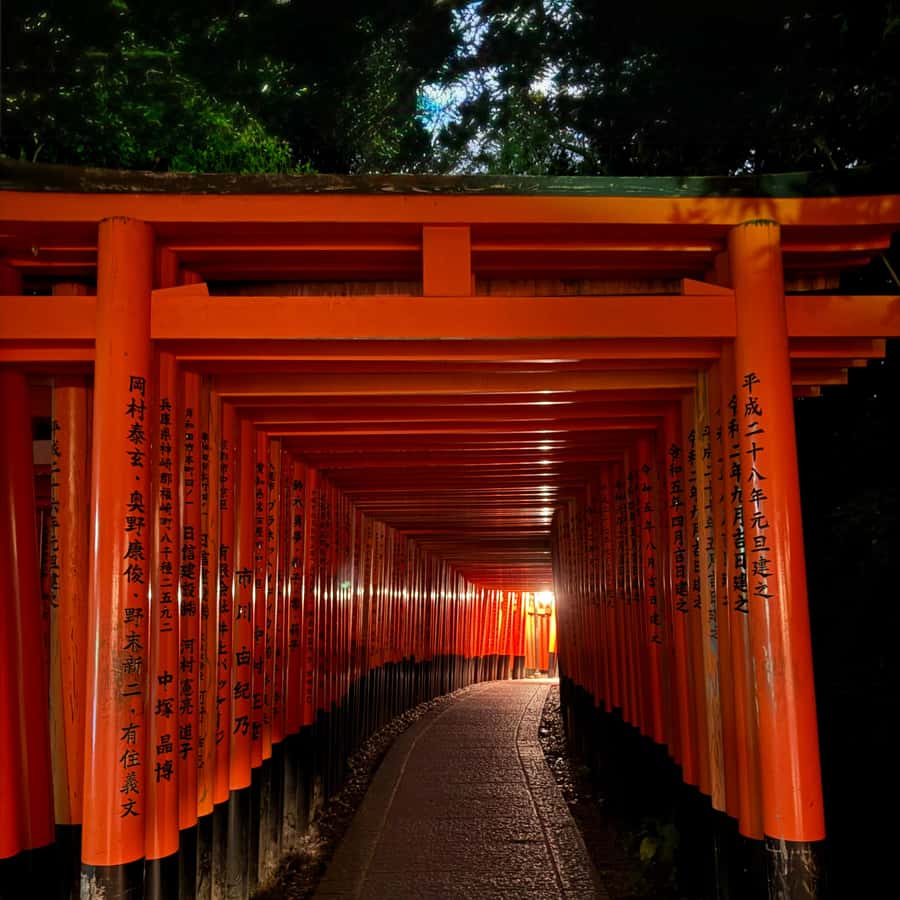 氷室京介/The one night stands tour\\"Collect… Kyoto: Full-Day Guided Bus Tour to Top Highlights & Tickets
