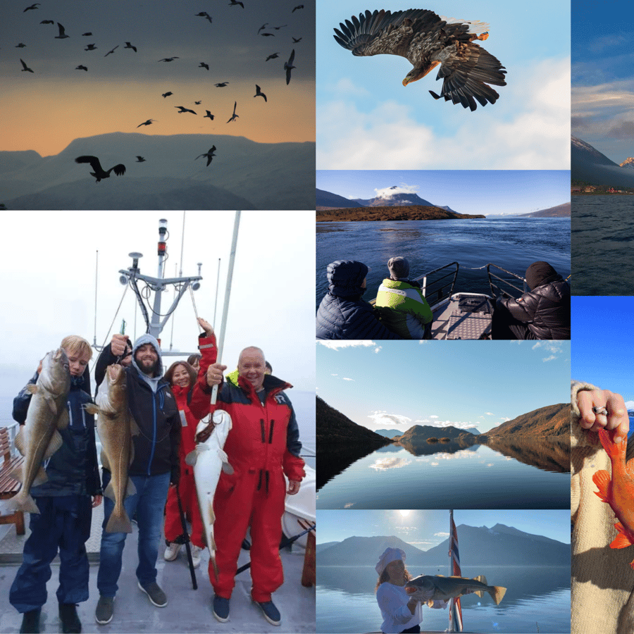 Media collage