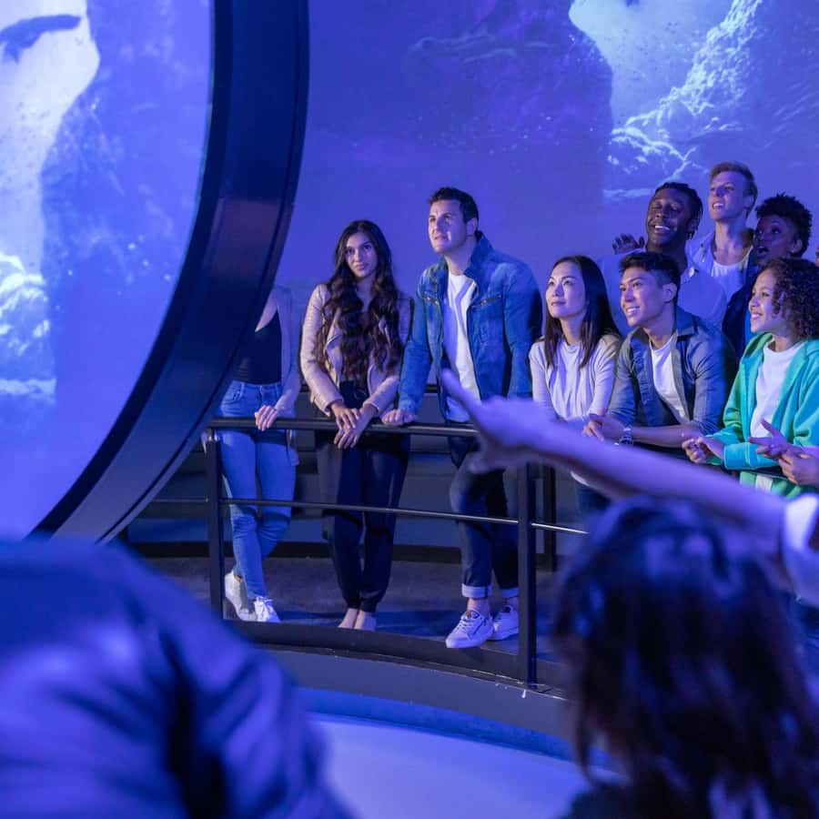 Chicago: Immersive Flyover Journey Ticket