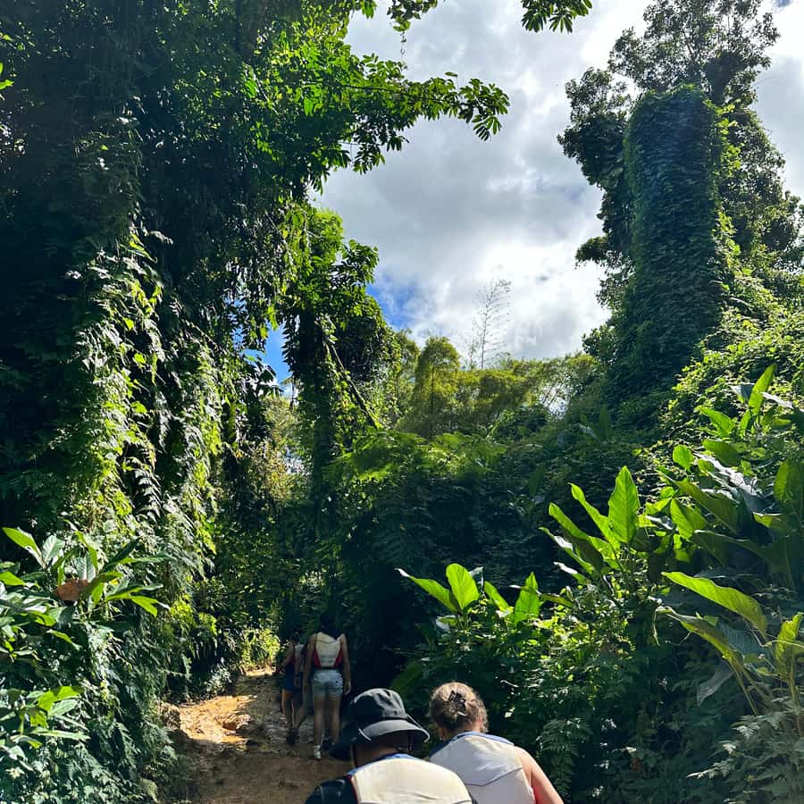 East El Yunque - Hidden Rainforest Waterpark