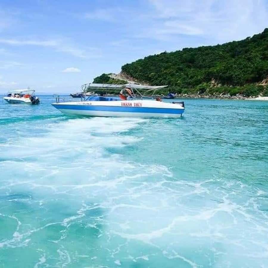 Galería de fotos para redes