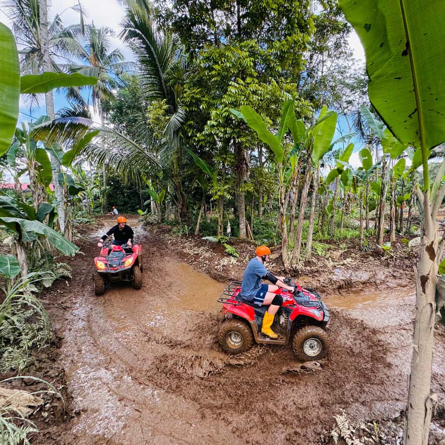 バリ：ウブドATVクアドバイク、ジャングル・スイング＆ライス