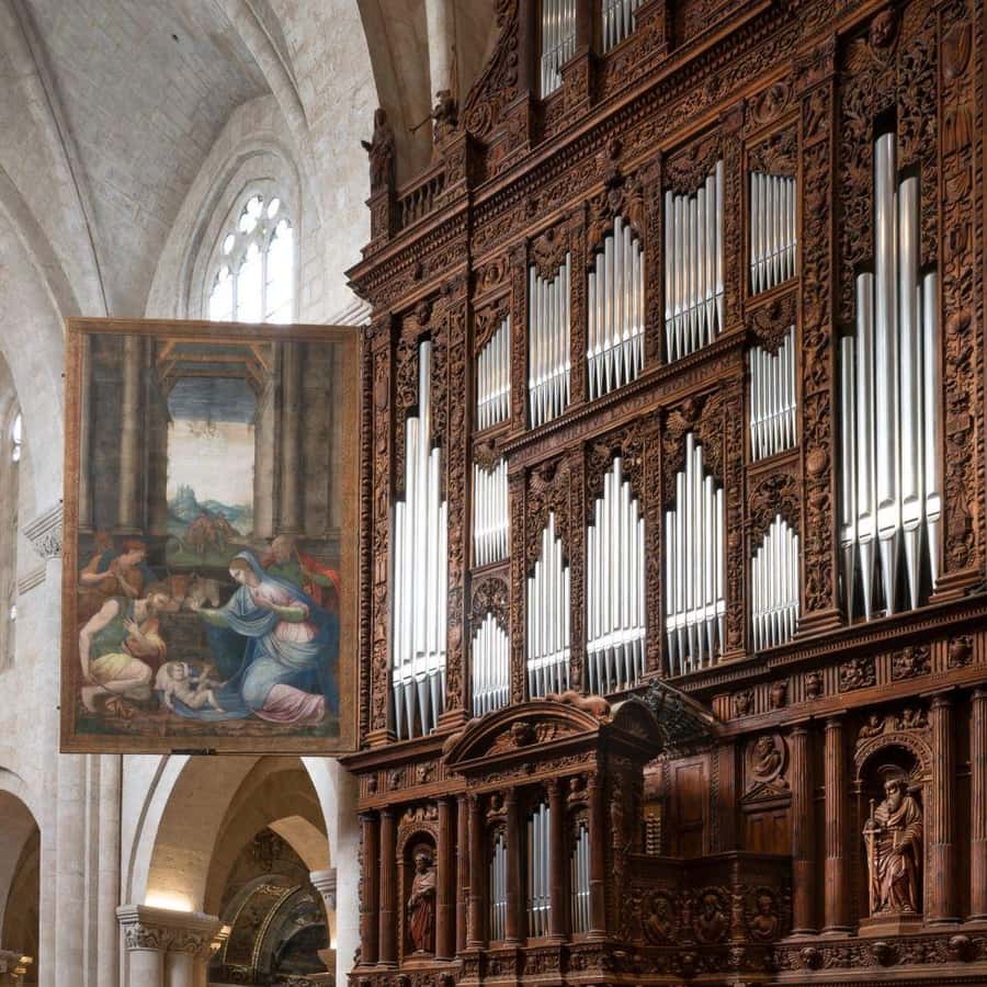 Galería de fotos para redes