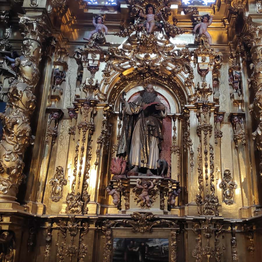 Galería de fotos para redes