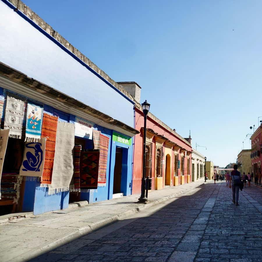 Galería de fotos para redes