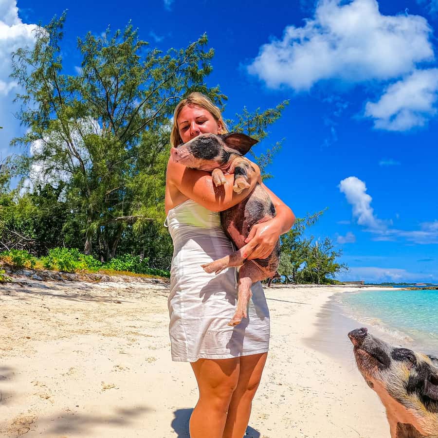 Nassau: Pigs Beach Trip by Boat with Swimming and Feeding
