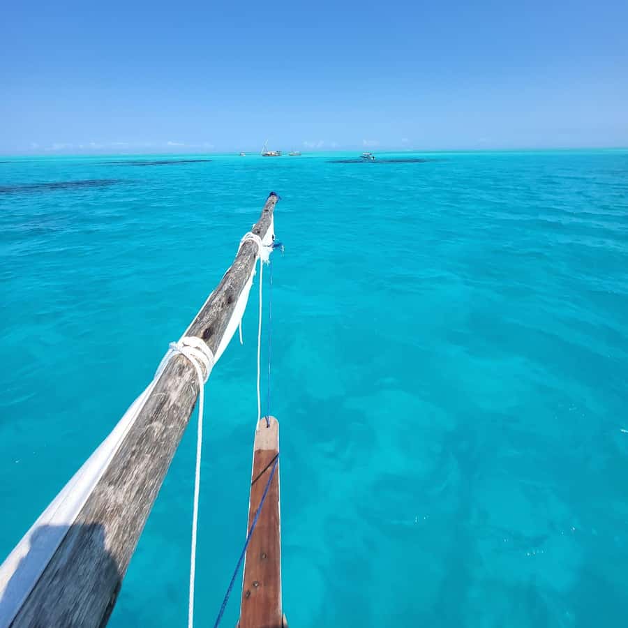 Galería de fotos para redes