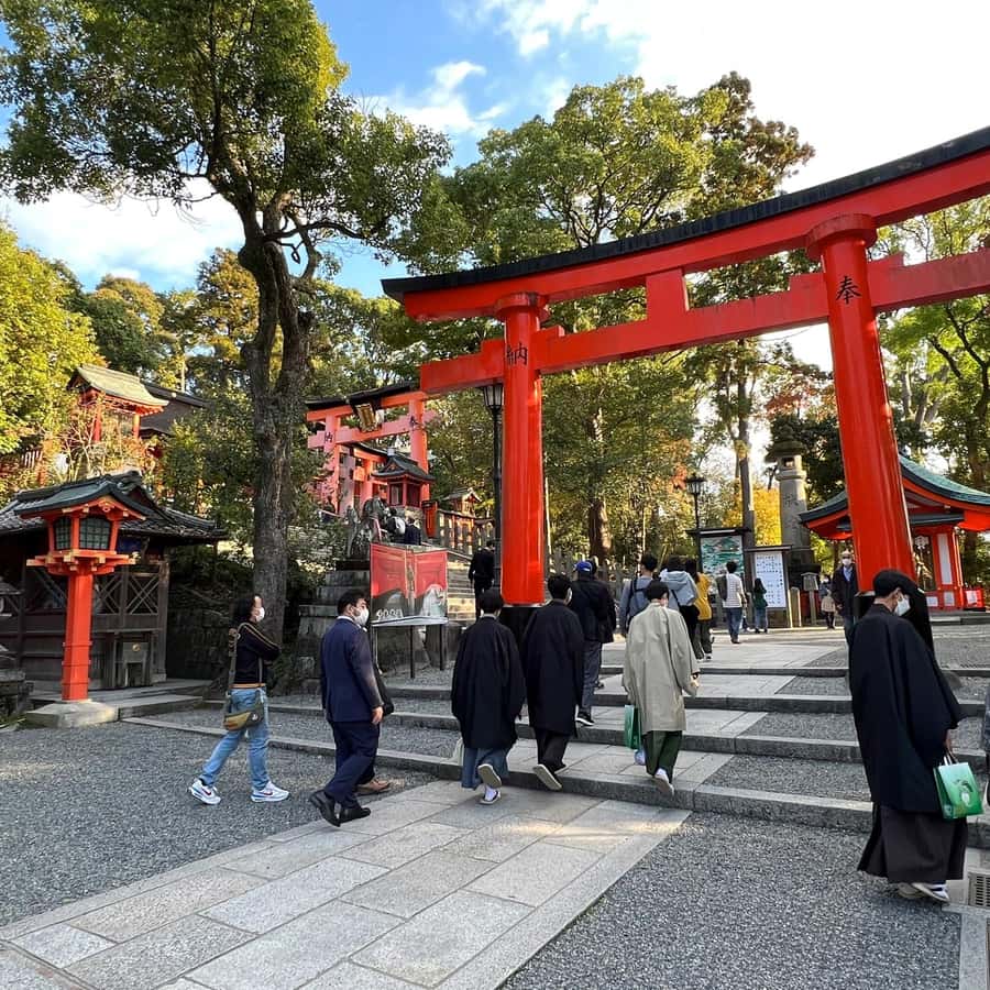 京都：清水寺、伏見稲荷、祇園花街 | GetYourGuide