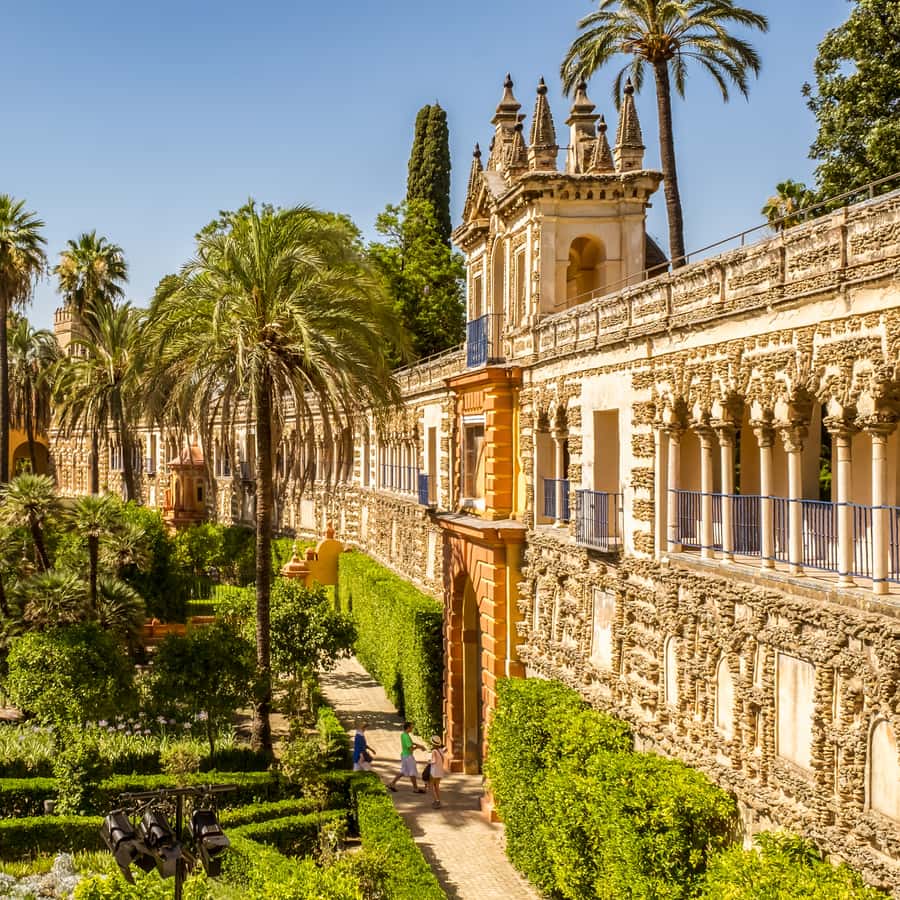 Galería de fotos para redes