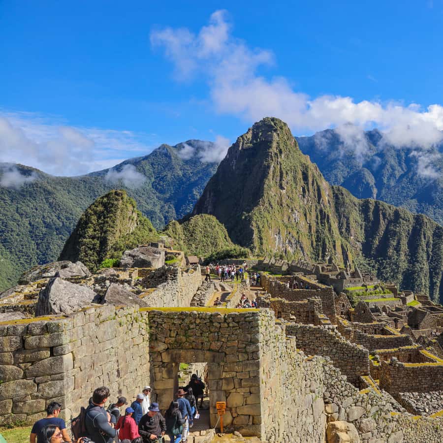 Galería de fotos para redes