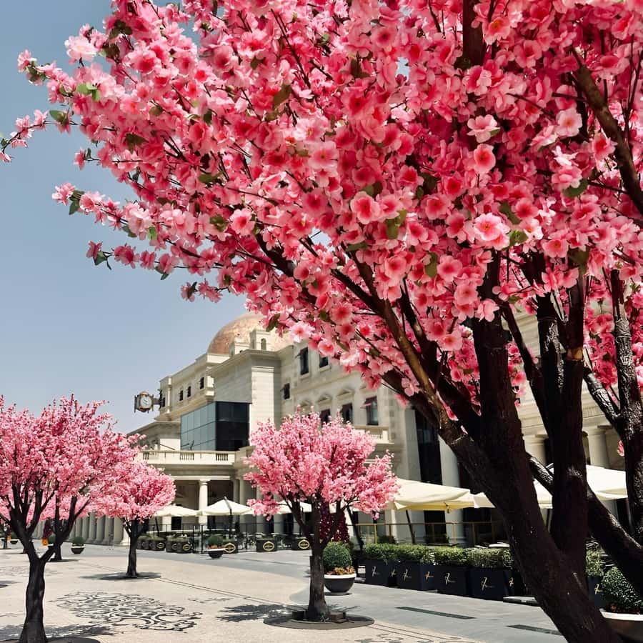 화창한 여름날 텅 빈 경기장에 홀로 앉아 우울한 체족을 가진 적응형 운동선수의 초상화. 실제 신체, 인내, 용기, 자신감, 힘, 지원  개념 사진 – Unsplash의 영감 이미지, image size:900x900