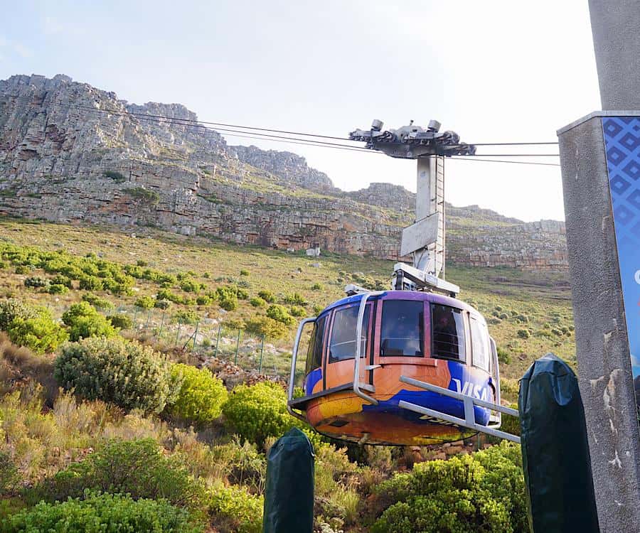 Cape Town Tour: Table Mountain, Penguins & Cape Point+Pickup