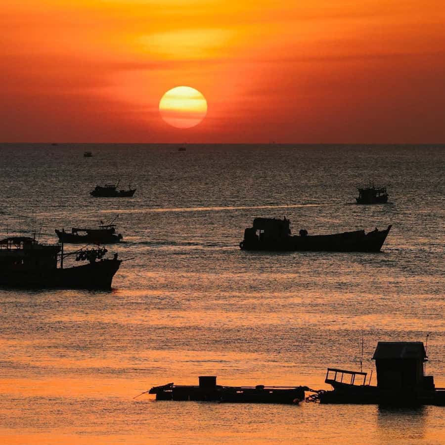 Galería de fotos para redes