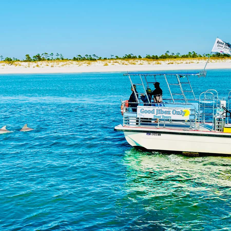 Panama City Beach: Snorkel Excursion with Good Jibez Only