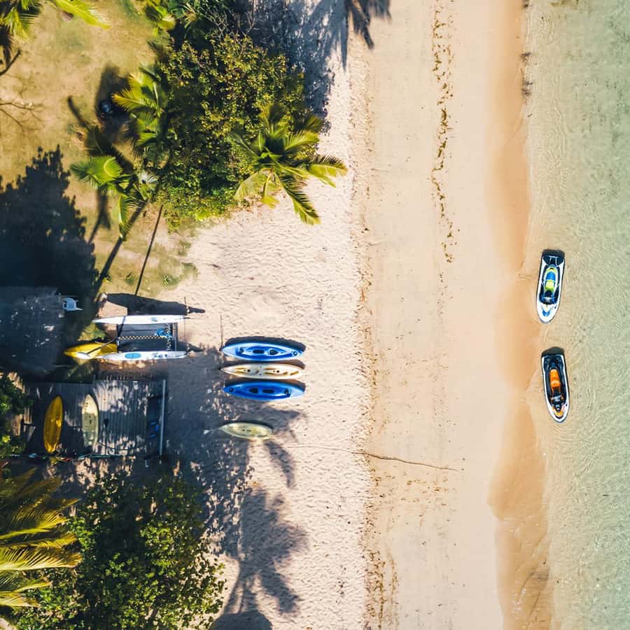 Fiji: Village & Mud-Crab Catching Tour