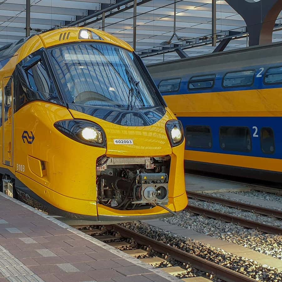 Amsterdam: Trasferimento in treno da/per Zandvoort a Amsterdam
