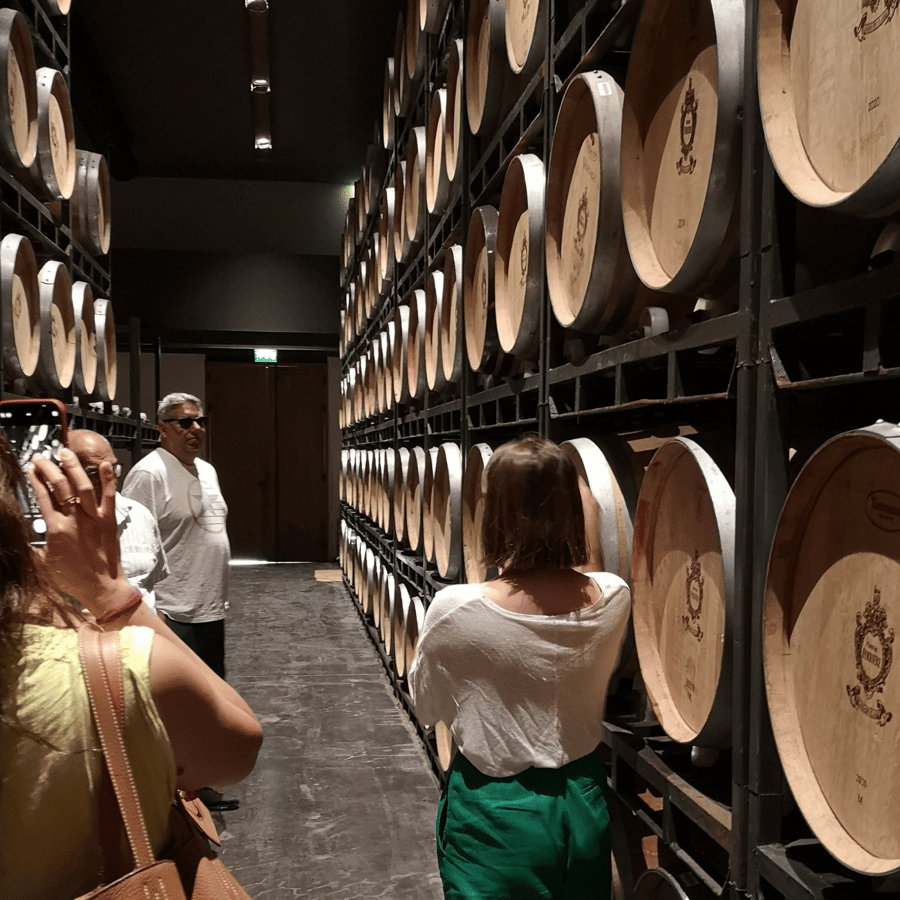 Ruta del vino de Médoc desde Burdeos: 2 bodegas y 6 vinos | GetYourGuide, image size:900x900