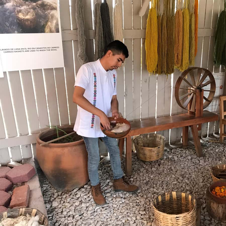 Galería de fotos para redes