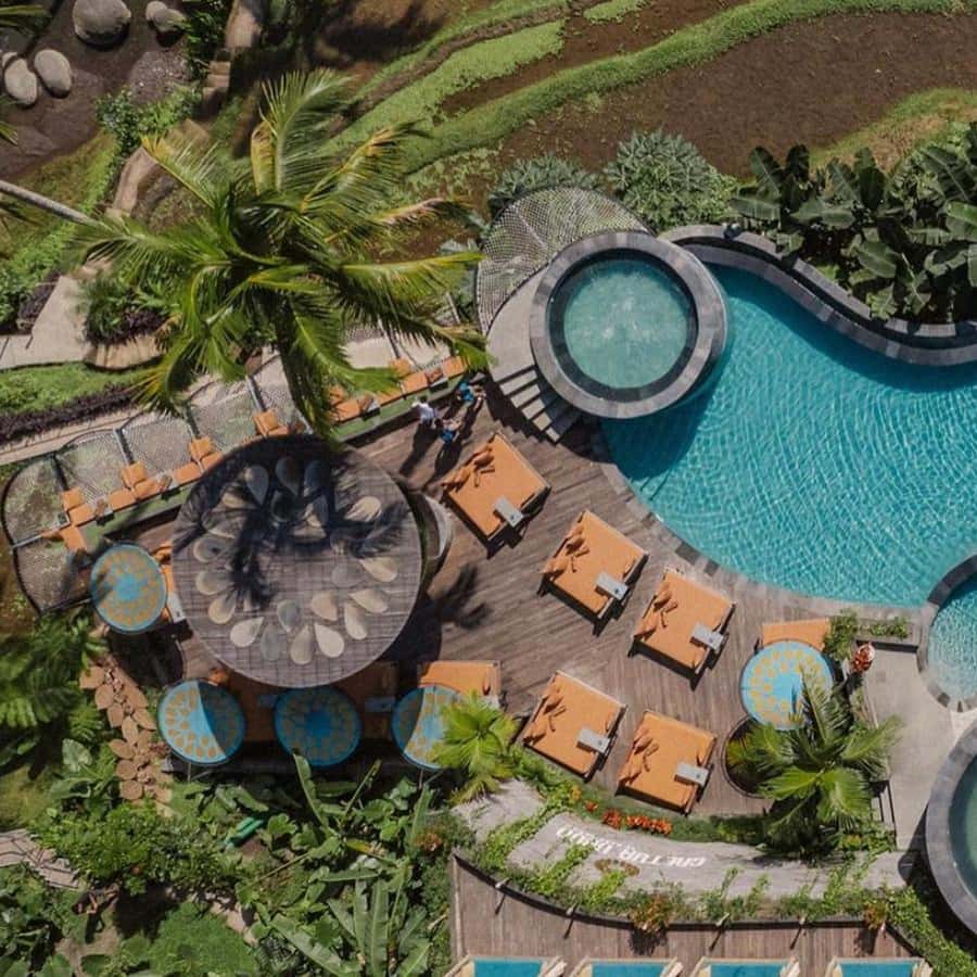 Bali: Shared or Private Highlights Ubud with Cretya Jungle