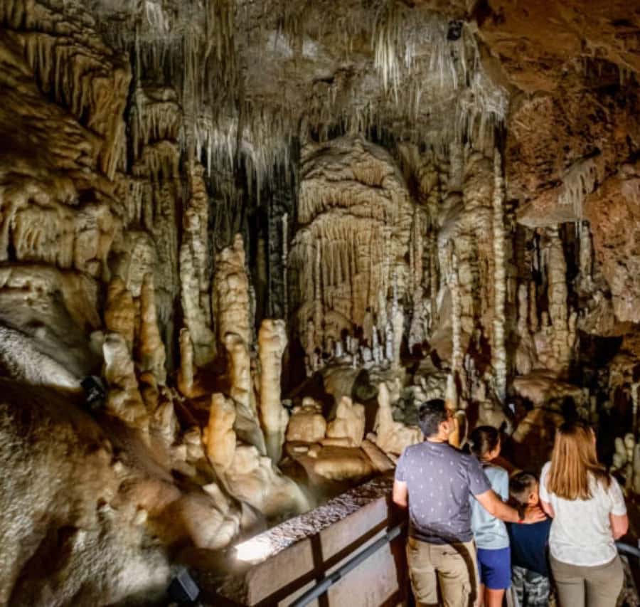 San Antonio: Natural Bridge Caverns Hidden Wonders Tour GetYourGuide