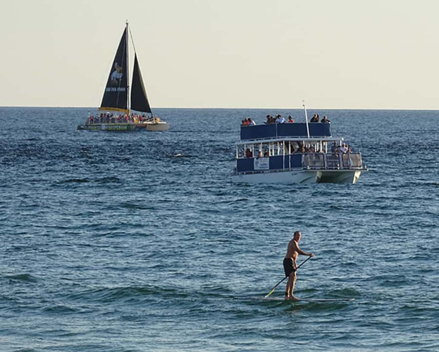 From Panama City, FL: Shell Island Ferry
