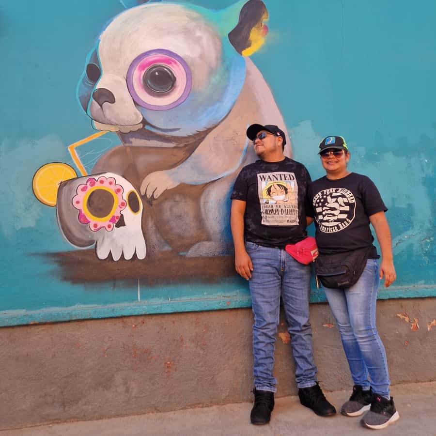 Galería de fotos para redes