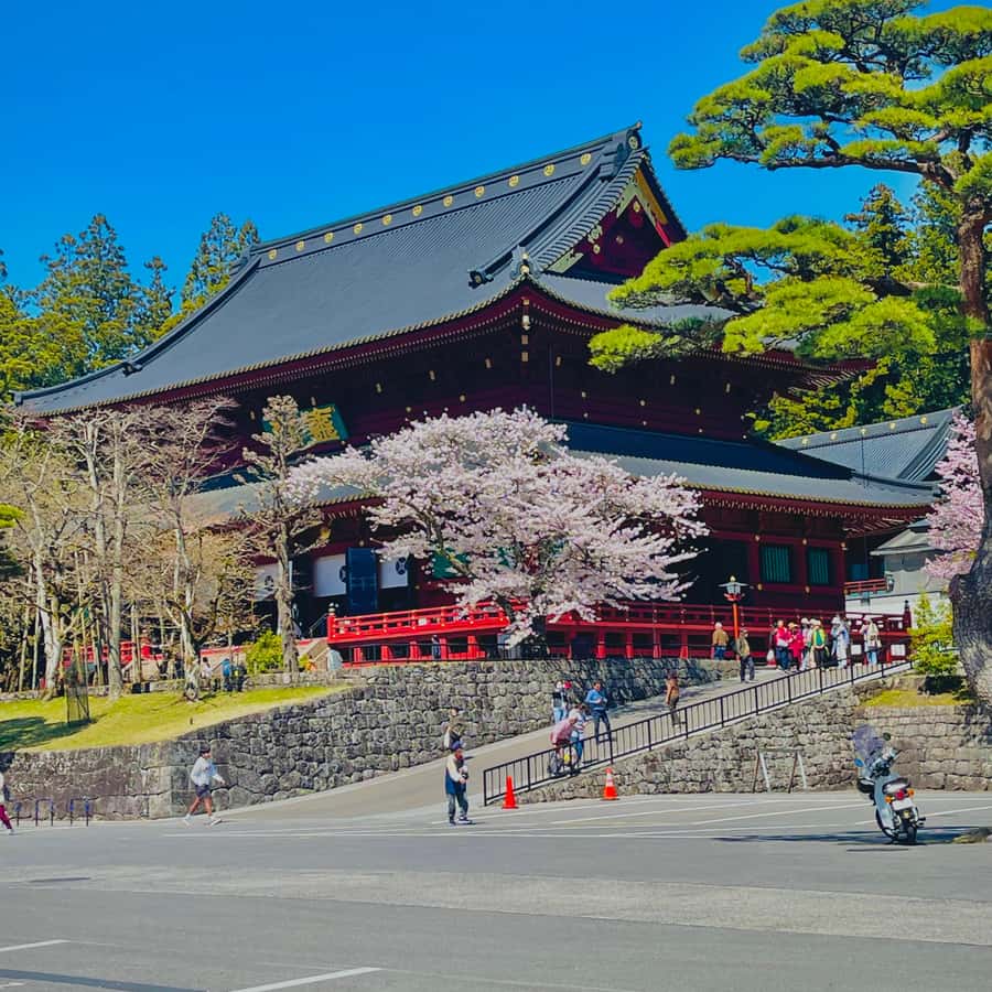 メディア コラージュ
