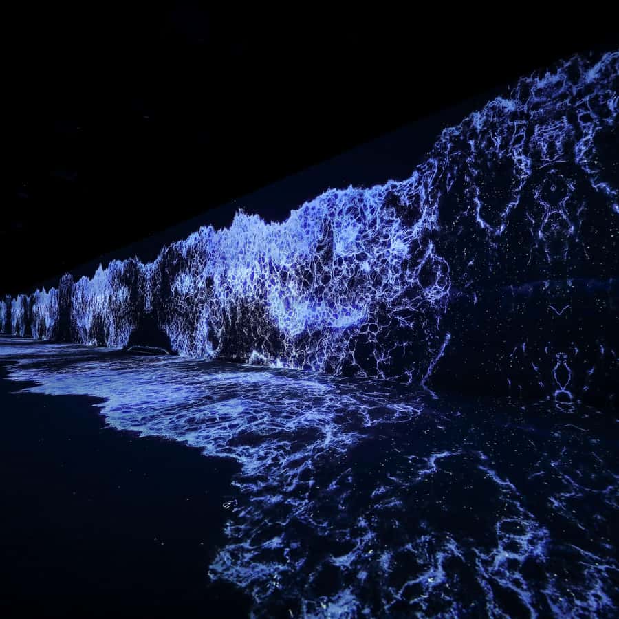 ARTE MUSEUM LAS VEGAS - Immersive Art Exhibition