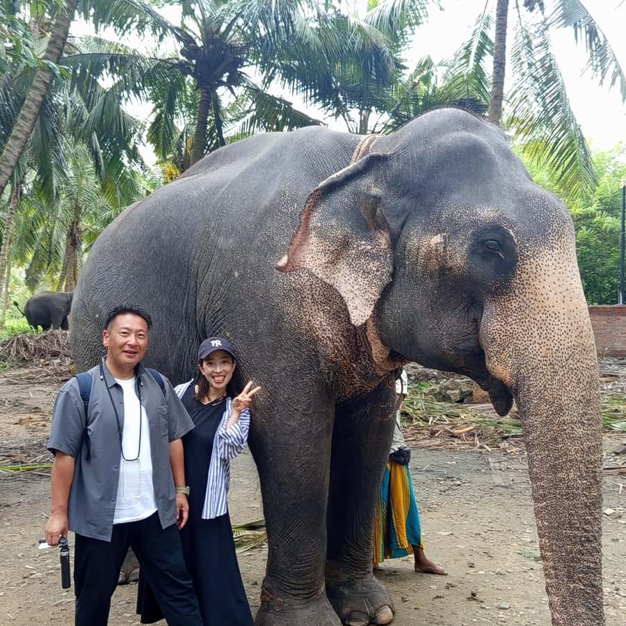Excursão de um dia a Pinnawala e Kandy saindo de Colombo ou Negombo |  GetYourGuide, image size:900x900