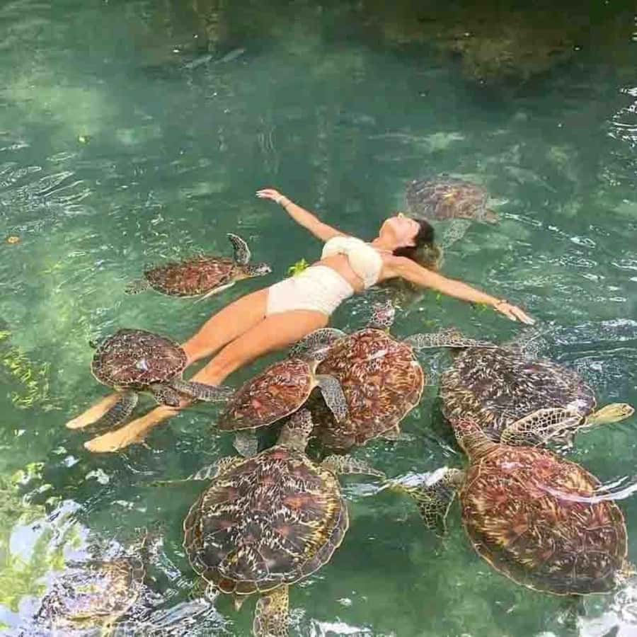 Galería de fotos para redes