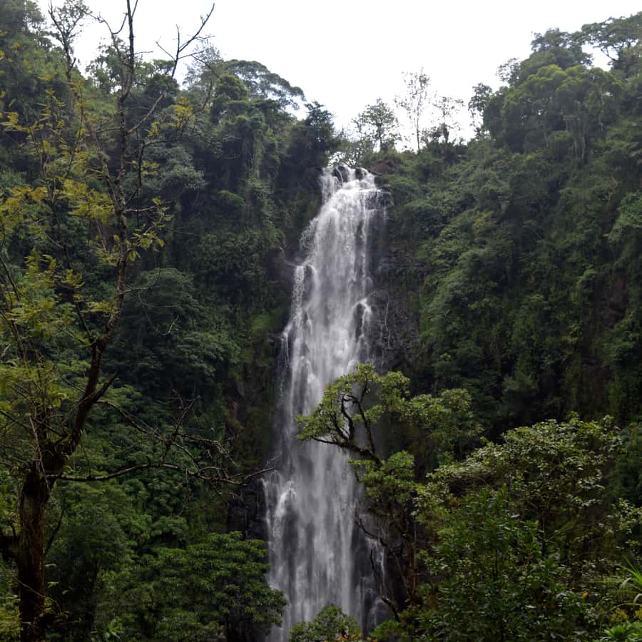 Colagem de mídia