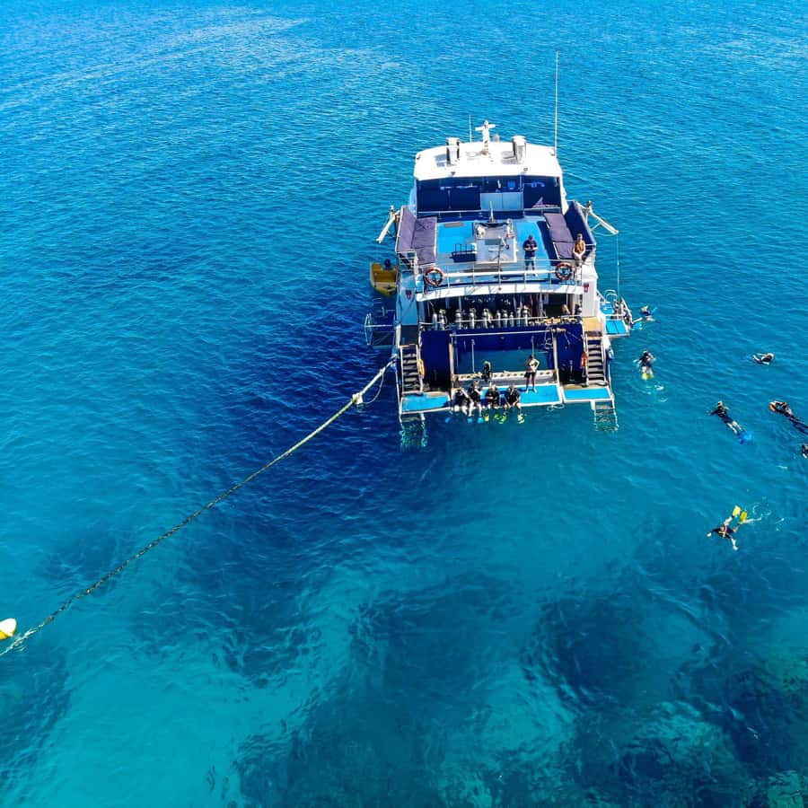 Cairns: Best Value All-inclusive Reef Trip With Scuba Dive