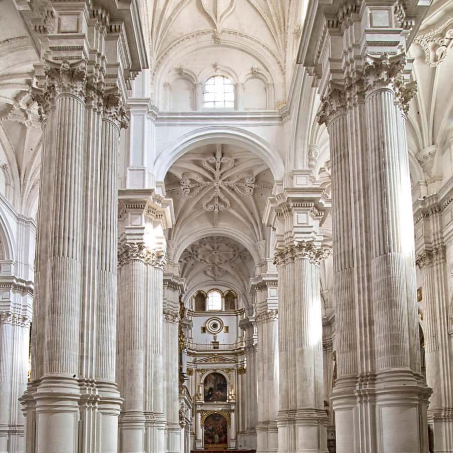 Galería de fotos para redes