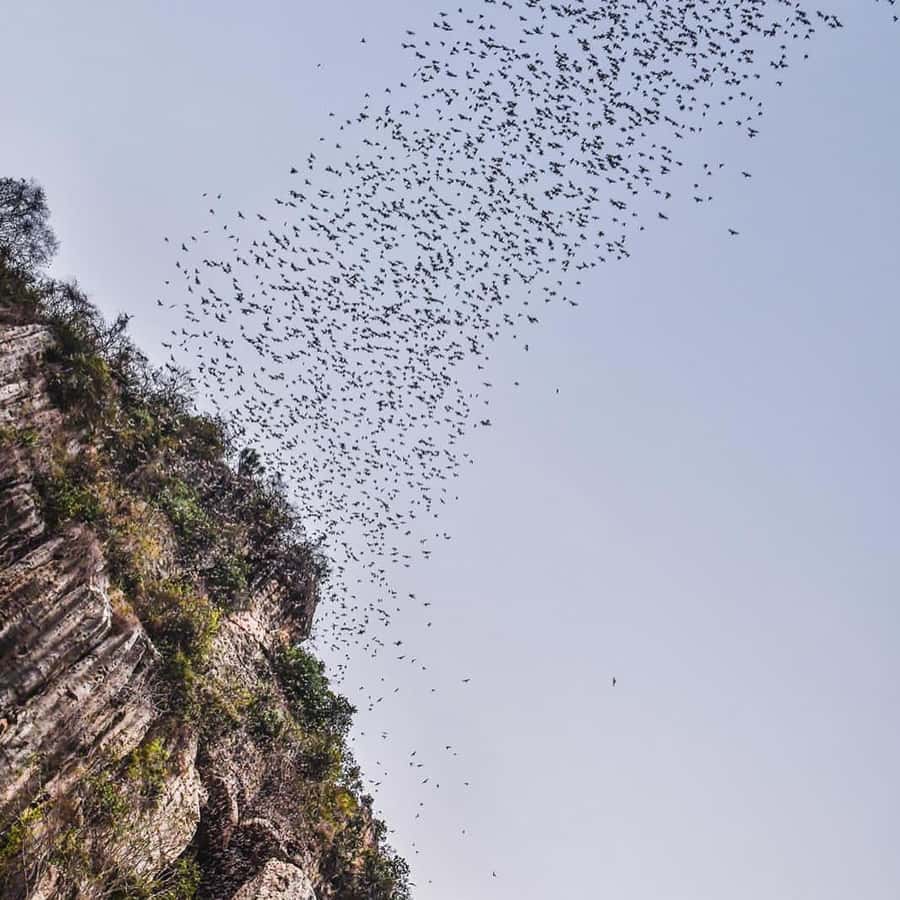Colagem de mídia