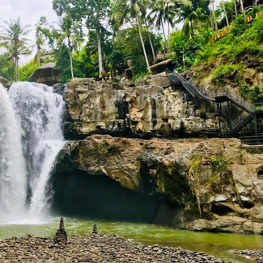 Bali: Shared or Private Highlights Ubud with Cretya Jungle