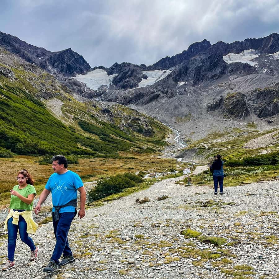 Galería de fotos para redes