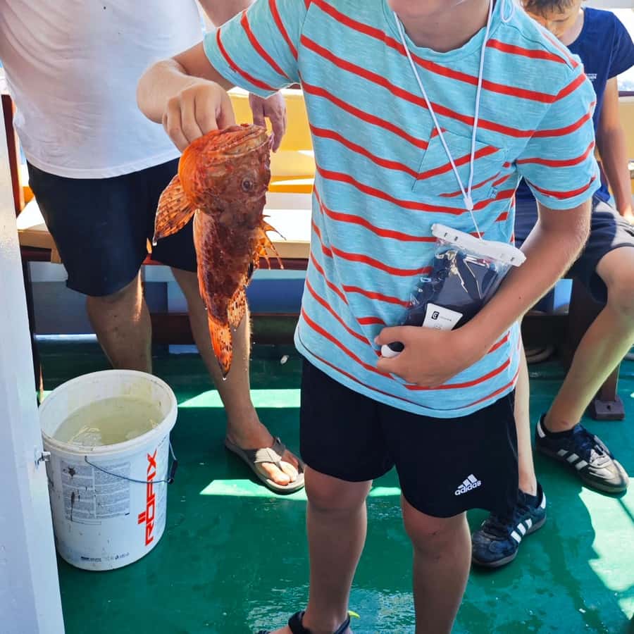 比奧格拉德：適合所有年齡層的正宗秋季釣魚體驗| GetYourGuide