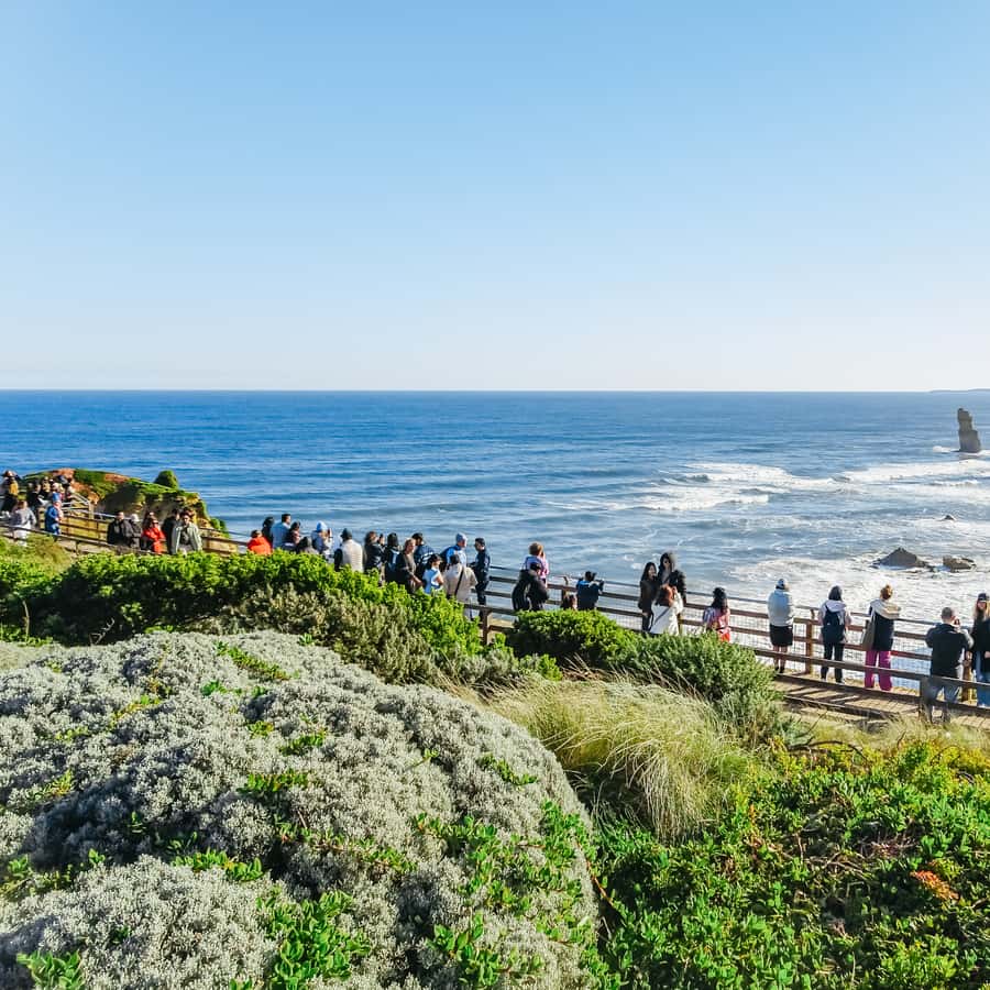 From Melbourne: Great Ocean Road and Wildlife Tour