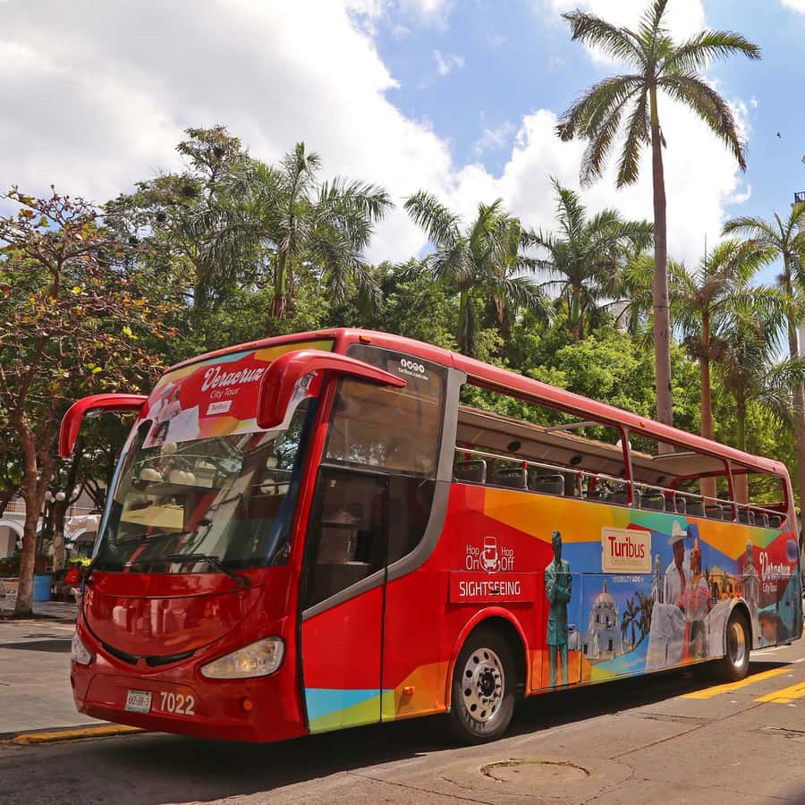 베라크루즈: 파노라마 관광 시티 투어 및 아쿠아리움 | GetYourGuide