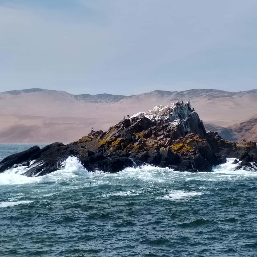 Galería de fotos para redes