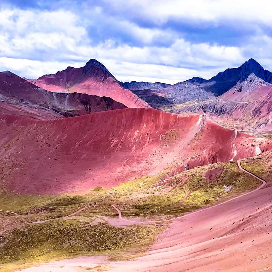 Prismatic Vista 4枚セット　虹色の眺望 MTG EN 虹色の眺望/Prismatic Vista 4枚セット