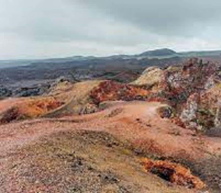 シエラ・ネグラ火山ハイキング - ボルカン・チコ溶岩台地 | GetYourGuide