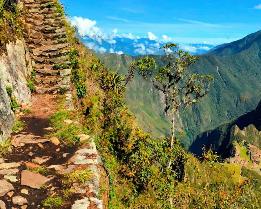 Galería de fotos para redes