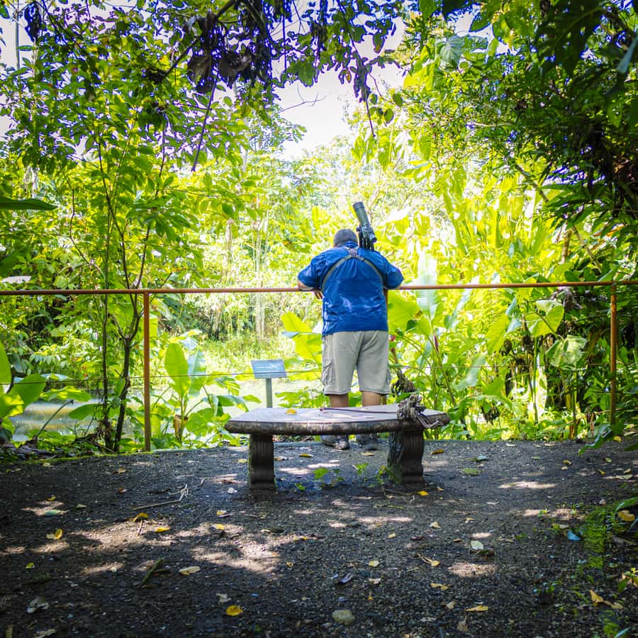 La Fortuna: Sloth Tour in Arenal Volcano Park & Local Snack
